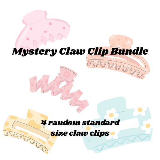 Mystery Claw Clip Bundle - Standard Size